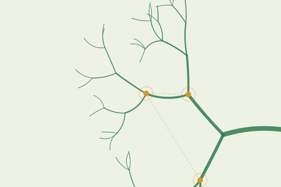Illustration of a river network with linked monitoring stations